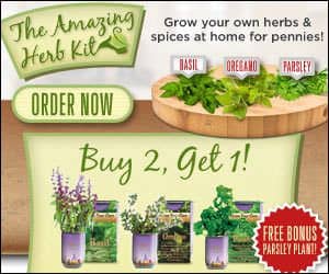 Indoor Herb Plants