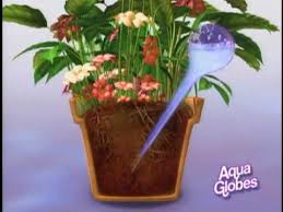 aqua globes