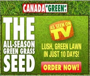Canada Green Grass All Season