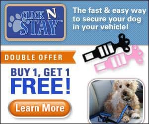 Click N Stay – Seat Belts for Dogs