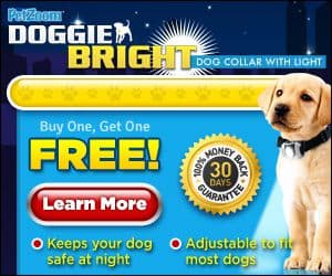 Doggie Bright Dog Collar with Safety Light