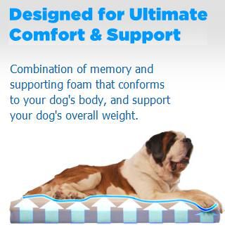Dogpedic Memory Foam Dog Bed