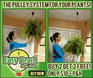 Easy Reach Pulley System for Hanging Plants