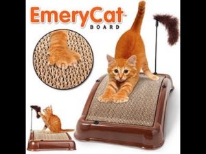 Emery Cat