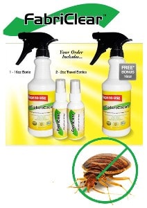 Fabriclear Spray Get Rid of Bed Bug
