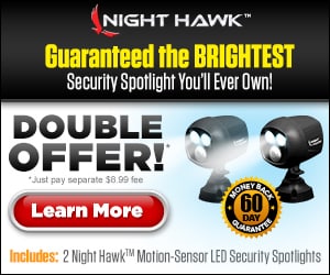 Night Hawk Set of Spotlights