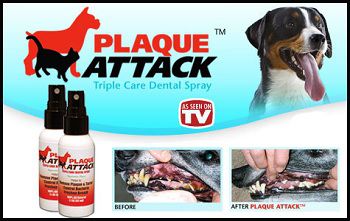 Plaque Attack Spray for Pets Teeth and Bad Breath