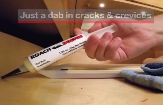 just a dab of roach doctor in cracks