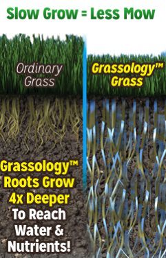 Grassology Grass Seed Grows Thicker, Fuller, & Greener